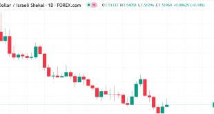 شارت الدولار مقابل الشيكل