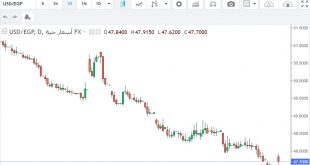 شارت الدولار مقابل الجنيه المصرى