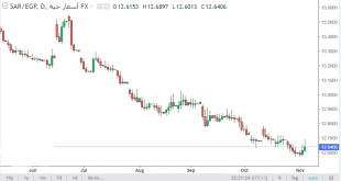 شارت الريال السعودى/ جنيه مصرى