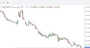 شارت الريال السعودى مقابل الجنيه المصرى