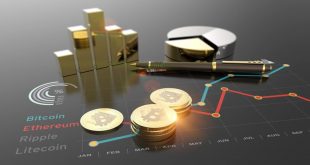 العملات الرقمية تتصدر محركات البحث
