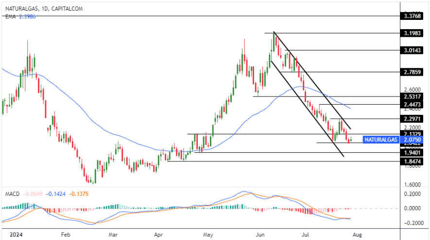 التحليل اليومي لسعر الغاز الطبيعي