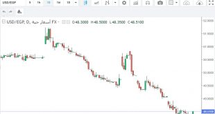 شارت الدولار مقابل الجنيه المصرى