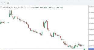 شارت الدولار مقابل الجنيه المصرى