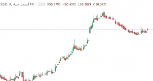 دولار مقابل جنيه مصري