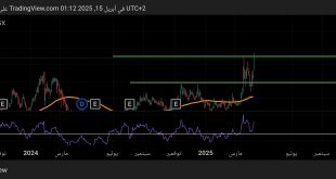 سهم الشركة العربية للصناعات الهندسية