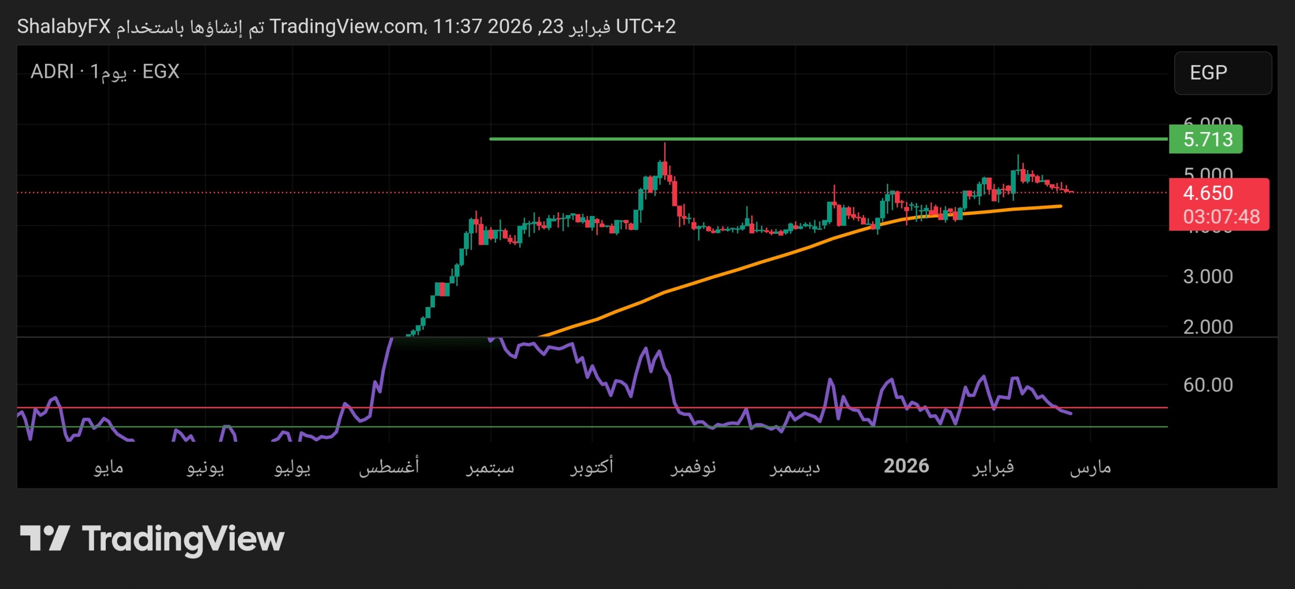 سهم آراب للتنمية في بورصة مصر يسجل انخفاضًا بسيطا في التداول اليومي عند سعر 4.650 جنيه مصري