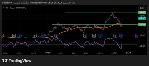 شارت سهم ابو معطى