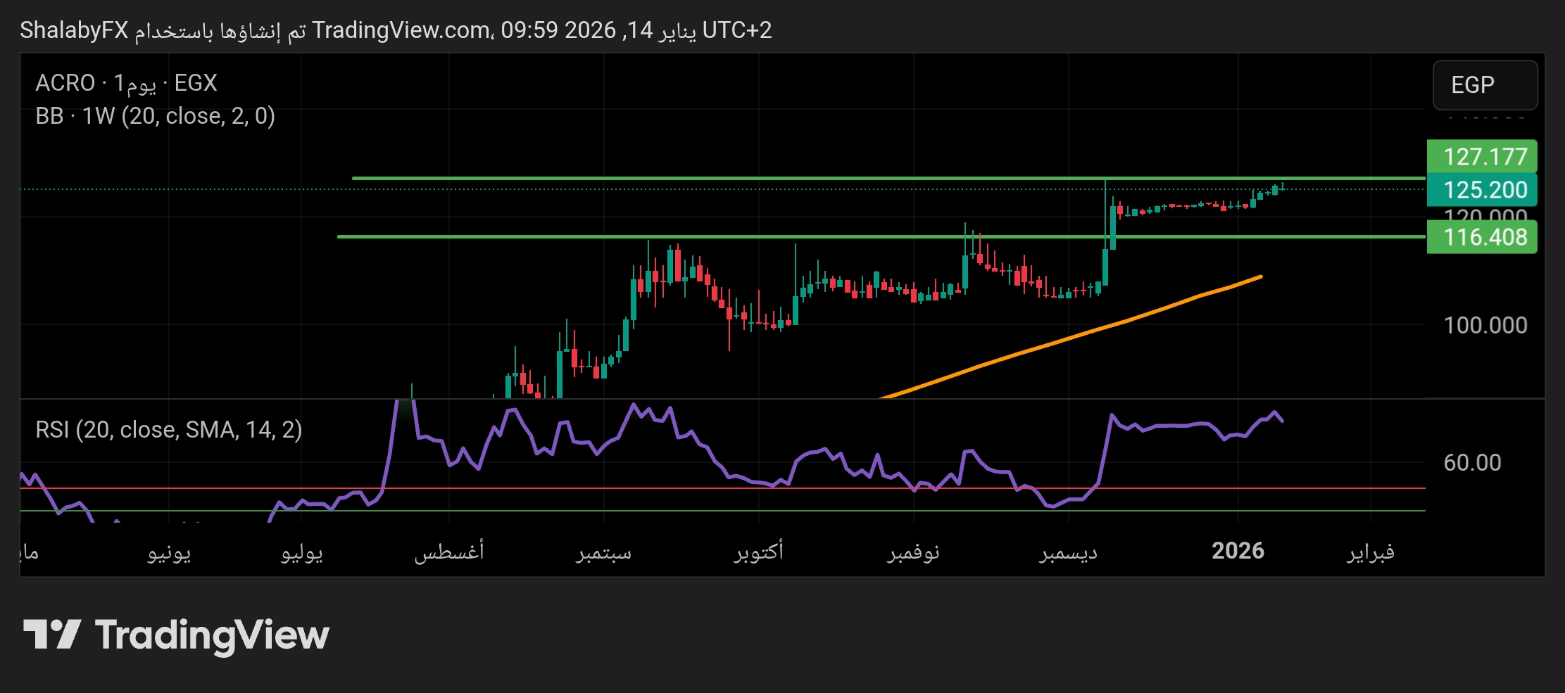 شارت سهم أكرو مصر