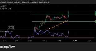 شارت سهم اكرو مصر