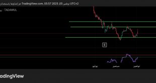 شارت سهم اس ام سى