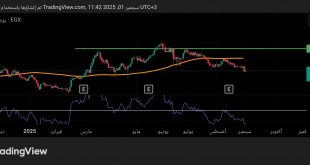 شارت سهم اعمار مصر