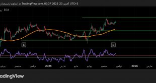 شارت سهم الاهلى للتنمية
