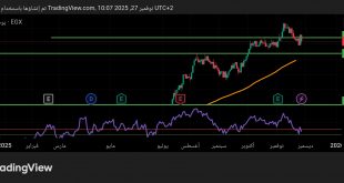 شارت سهم البنك التجارى الدولى