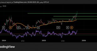 شارت سهم البنك المصرى لتنمية الصادرات