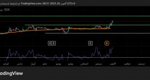شارت سهم البنك المصرى لتنمية الصادرات