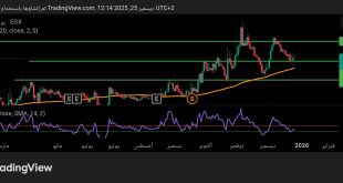 شارت سهم البنك المصرى لتنمية الصادرات