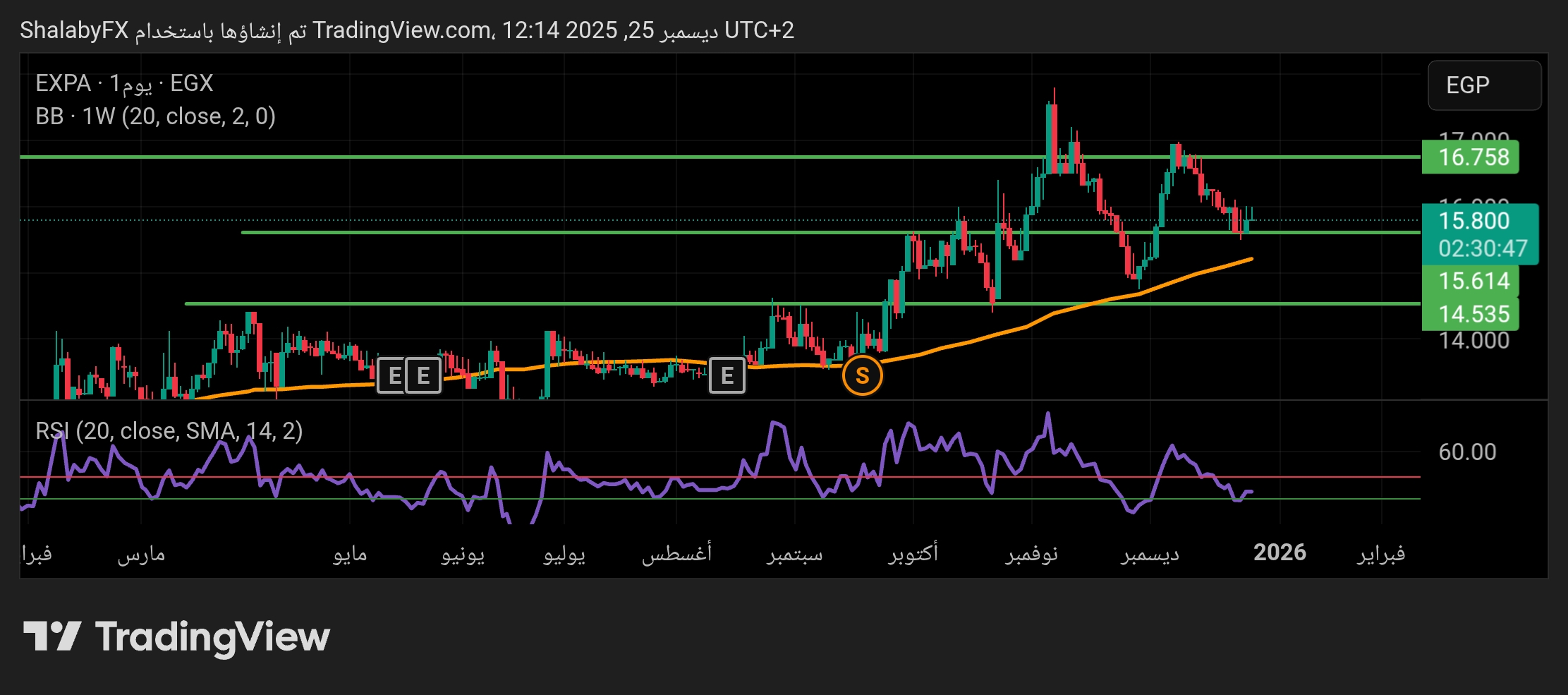 شارت سهم البنك المصرى لتنمية الصادرات