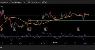 شارت سهم البنك المصرى لتنمية الصادرات