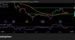 شارت سهم الغاز والتصنيع الاهلية