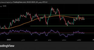 شارت سهم القلعة