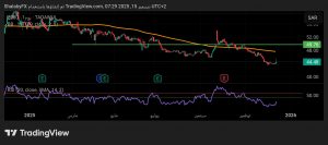 شارت سهم المراعى