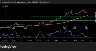 شارت سهم المصرية لنظم التعليم