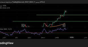 شارت سهم المصرية لنظم التعليم