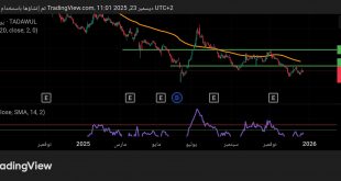 شارت سهم المطاحن العربية
