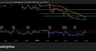 شارت سهم المطورون المصرى