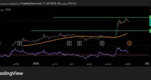 شارت سهم المنصورة للدواجن