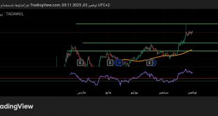 شارت سهم الموسى الصحية