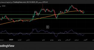 شارت سهم اليكو