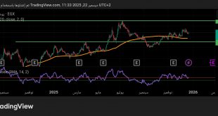 شارت سهم بالم هيلز