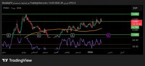 شارت بالم هيلز