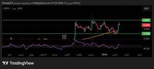 شارت سهم بايونيرز للتنمية