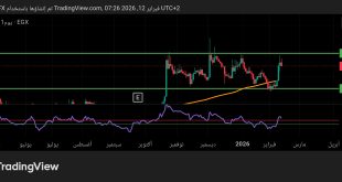 شارت سهم بايونيرز للتنمية