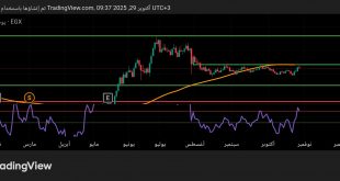 شارت سهم بلتون