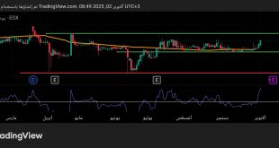 سهم بنك قطر الوطنى
