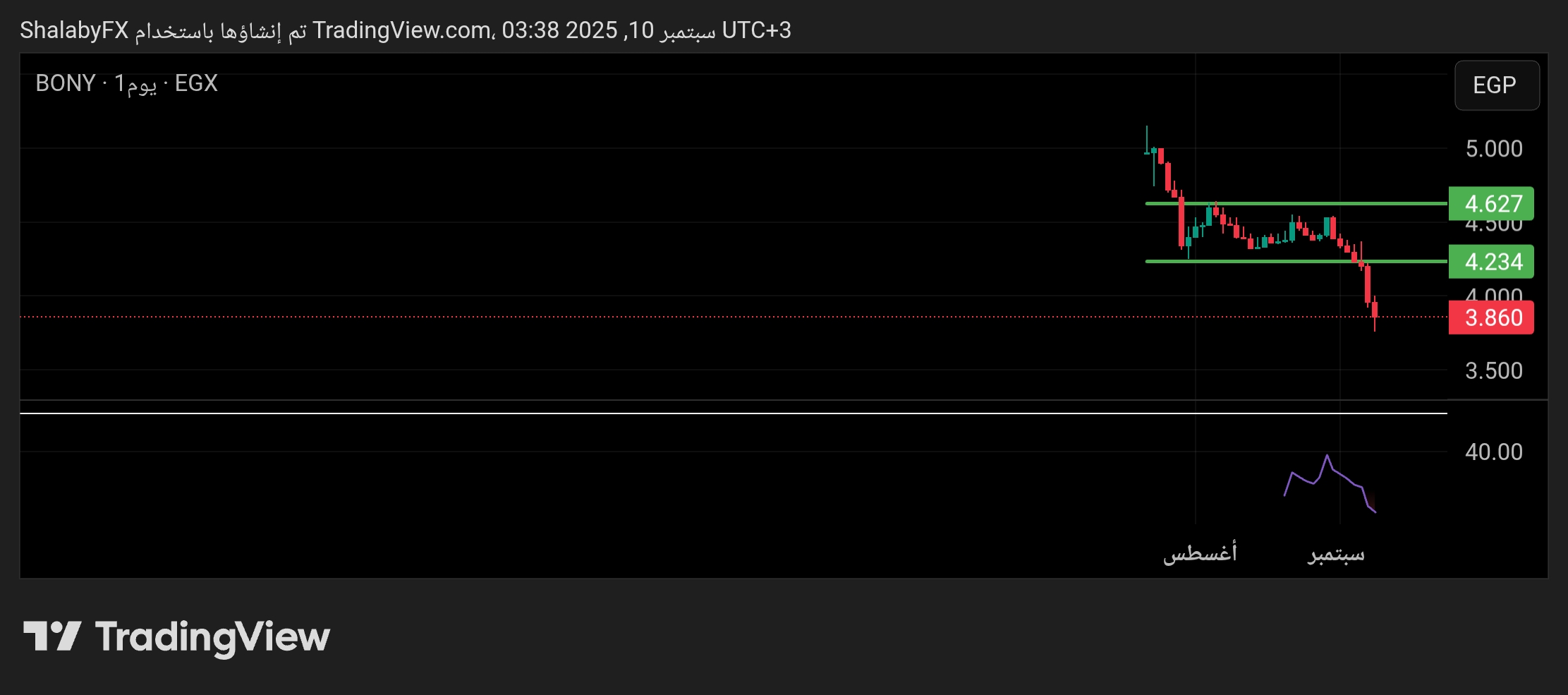 توقعات سهم بنيان في البورصة المصرية