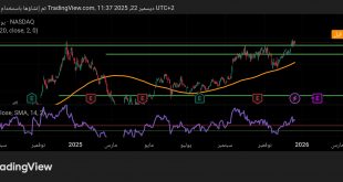 شارت سهم تسلا