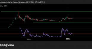 شارت سهم توسع للتخصيم