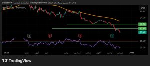 شارت سهم جاهز السعودى