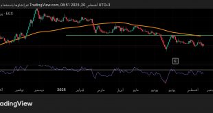 شارت سهم حديد المصريين