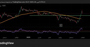 شارت سهم حديد المصريين