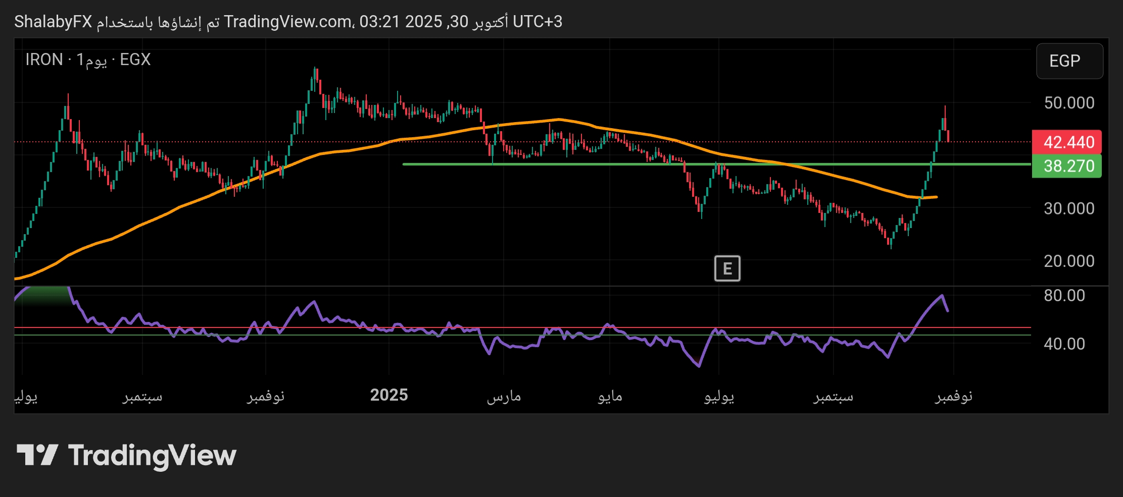 شارت سهم حديد المصريين