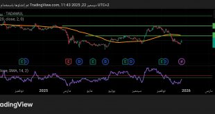 شارت سهم دلة للخدمات الصحية