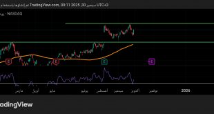 شارت سهم شوبيفاى