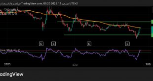 شارت سهم صادرات الصناعية