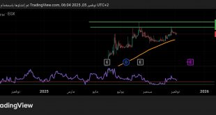 شارت سهم مصر بنى سويف للاسمنت